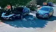 Otomobiliyle köpeklerin üzerinden geçti: O anlar saniye saniye kamerada!