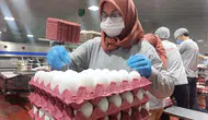 Afyonkarahisar’da yumurta sektöründe hareketlilik sürüyor: Üreticilerin gözü Tahıl Koridoru’nda