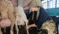 100 Bin TL Hibe Aldı, 150 Koyunluk Sürü Kurdu! Kazandığı Parayla Araba Bile Aldı
