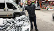 Afyon’da Palamut Fiyatı 75 TL’ye Düştü! 4 Tanesi 300 TL’den Satılıyor