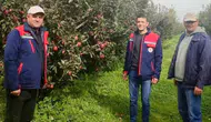 Çay’da elma ve kabak çekirdeği üreticilerinin sorunları yerinde değerlendirildi