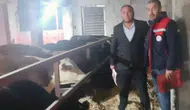 Dinar’da ithal hayvanların bulunduğu işletmeler denetlendi
