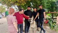 Afyon’da evcil hayvanlar için mikroçip ve kimliklendirme uygulaması sürüyor
