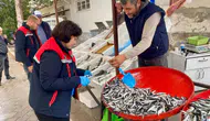Dazkırı’da balık satış noktalarında gıda güvenliği denetimi