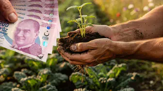 Çiftçilerin beklediği haber geldi! 2026-2027 tarımsal destek tutarları belli oldu
