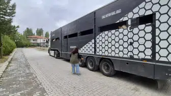 Afyonkarahisar’da hayvan sevklerine sıkı kontrol