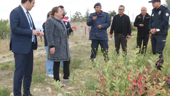 Sinanpaşa’da aronya üretimine yakın takip: Kaymakam Miroğlu aronya bahçesinde inceleme yaptı