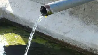 Köy Çeşmesinden Su İçen Adam Dehşeti Yaşadı... Doktorlar Bile İlk Kez Gördü!