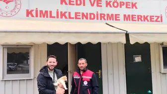 Afyonkarahisar’da evcil hayvanlar kayıt altına alınıyor