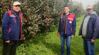 Çay’da elma ve kabak çekirdeği üreticilerinin sorunları yerinde değerlendirildi