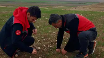 Sultandağı’nda hububat üretimi için tarlalarda kontrol başladı