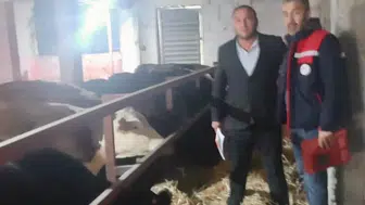 Dinar’da ithal hayvanların bulunduğu işletmeler denetlendi
