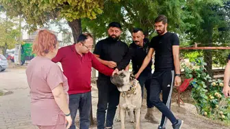 Afyon’da evcil hayvanlar için mikroçip ve kimliklendirme uygulaması sürüyor