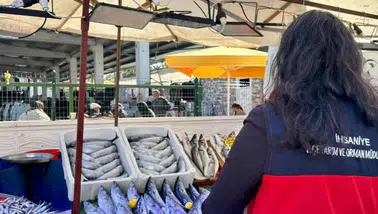 İhsaniye pazarında gıda ürünleri mercek altında