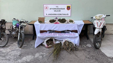 Ormanı uyuşturucu tarlasına çevirmişler