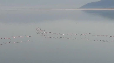 Acıgöl'ün sahipleri böyle görüntülendi