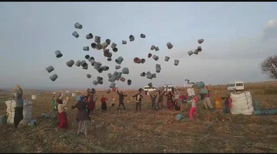 Kep atma değil, hasat sona erme töreni