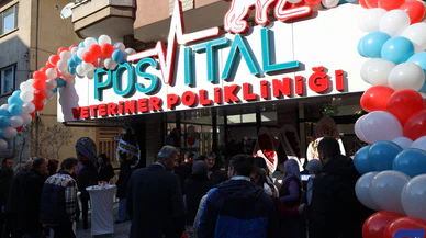 Tüylü dostlarımız emin ellerde