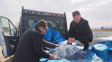 Soğan Fiyatları Yükselişe Geçti Üreticiler Soğan Ekmeye Başladı