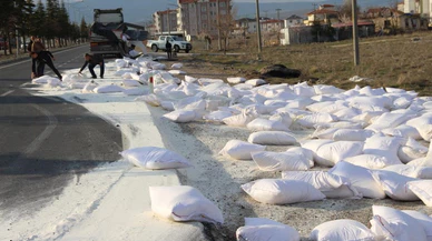 Kontrolden Çıkan Tır Şarampole Girdi