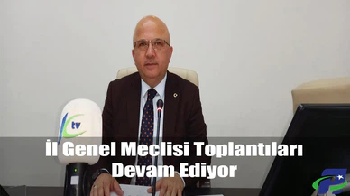 İl Genel Meclisi Toplantıları Devam Ediyor