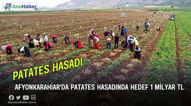 Afyonkarahisar’da Patates Hasadında Hedef 1 Milyar TL
