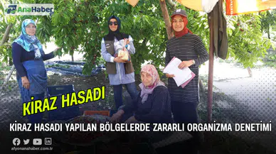 Kiraz Hasadı Yapılan Bölgelerde Zararlı Organizma Denetimi