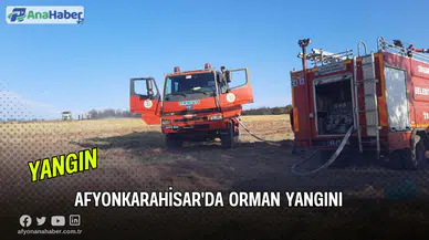 Afyonkarahisar'ın Dinar İlçesinde  Orman Yangını