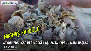 Afyonkarahisar’ın Simgesi ‘Haşhaş’ta Kapsül Alımı