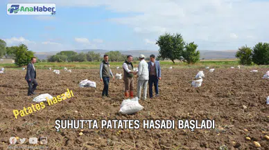 Şuhut’ta patates hasadı başladı