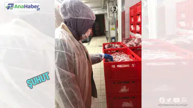 ŞUHUT’TA ET VE ET ÜRÜNLERİ ÜRETEN İŞLETMELERE YÖNELİK DENETİM