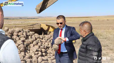 EMİRDAĞ İLÇESİNDE ŞEKER PANCARI HASADI SÜRÜYOR