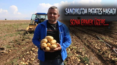 SANDIKLI’DA 40 BİN DEKAR ALANDA EKİM YAPILAN PATATESTE HASADIN SONUNA YAKLAŞILDI