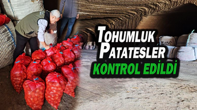 Tohumluk Patateslerin Kontrolü Yapıldı
