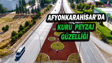 Afyonkarahisar’da Kuru Peyzaj Güzelliği