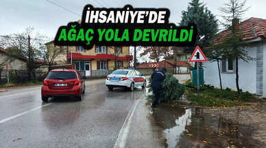 Yola Devrilen Ağacı Jandarma Ekipleri Kaldırdı