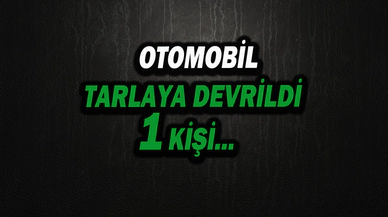 Tarlaya Devrilen Otomobilde 1 Kişi Yaralandı