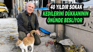 40 Yıldır Sokak Kedilerini Dükkanının Önünde Besliyor