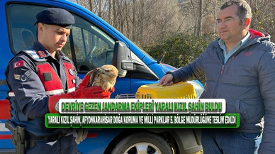 Devriye Gezen Jandarma Ekipleri Yaralı Kızıl Şahin Buldu