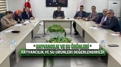Hayvancılık Ve Su Ürünleri Değerlendirildi