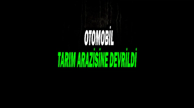 Tarım Arazisine Devrilen Otomobilin Sürücüsü Yaralandı