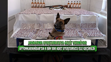Afyonkarahisar’da 6 Bin 500 Adet Uyuşturucu Ele Geçirildi