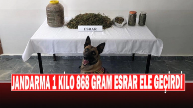 Jandarma 1 Kilo 868 Gram Esrar Ele Geçirdi