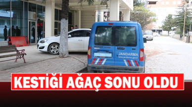 Kestiği Ağaç Sonu Oldu