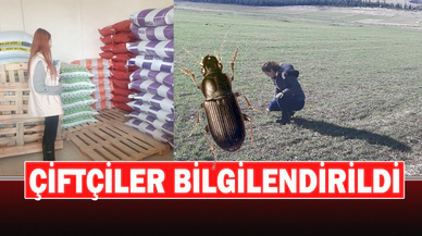 Çiftçiler Ekinlere Zarar Veren Kambur Böceği Konusunda Bilgilendirildi