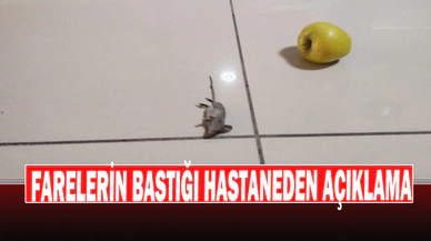 Farelerin Bastığı Hastaneden Açıklama