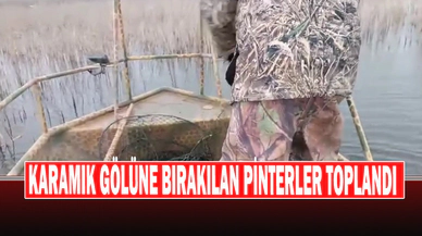 Karamık Gölüne Bırakılan Pinterler Toplandı