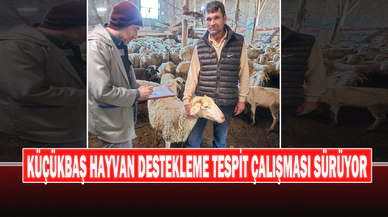 Küçükbaş Hayvan Destekleme Tespit Çalışması Sürüyor