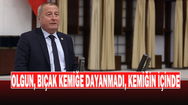 Olgun; “Süt Üreticisinin Tamamen Bitmesini Mi Bekliyorsunuz?”