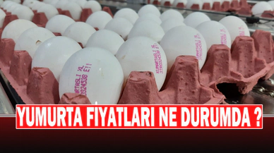Üreticiler Yumurta Fiyatlarının Yükselmesinden Aracıları Sorumlu Tuttu